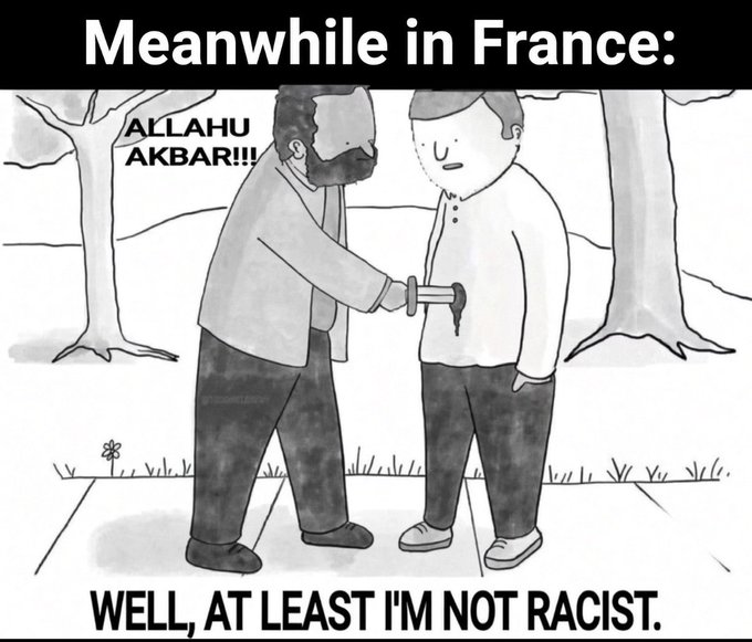 A black-and-white cartoon meme captioned 'Meanwhile in France:' showing one man stabbing another in the stomach while declaring 'ALLAHU AKBAR!!!' and 'Well, at least I'm not racist.'