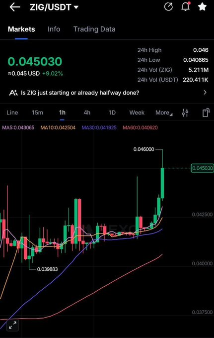 A cryptocurrency trading chart for ZIG/USDT showing a price of 0.045030 (≈0.045 USD, +9.02%), with 24h high of 0.046 and a 1h candlestick view.