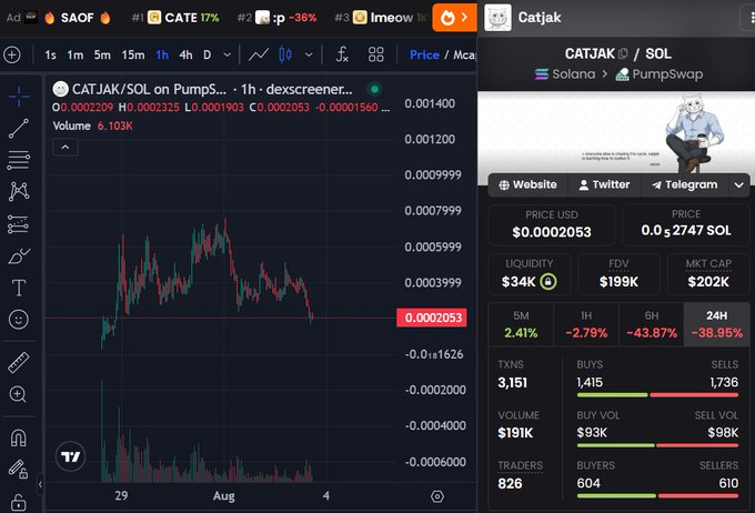 A trading dashboard shows the CATJAK/SOL token on PumpSwap with a current price of $0.0002053 (0.2747 SOL), displaying a sharp 1-hour decline of -38.95% and 24-hour drop of -43.87% from a market cap of $202K, visually supporting the post's claim that CATJAK is at a bottom position with potential for a 100x recovery.