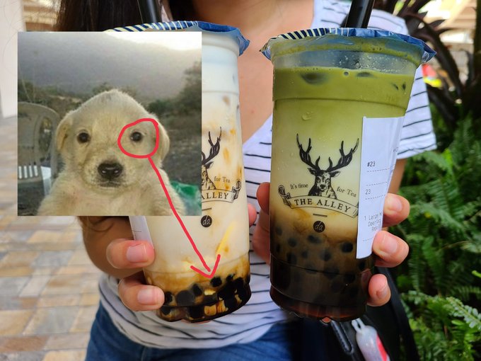 Two bubble tea cups from "The Alley" are held up, with a red arrow pointing from an inset photo of a golden puppy (highlighting its eye) to the dark tapioca pearls at the bottom of one cup, humorously suggesting the puppy's face stares back from the boba.