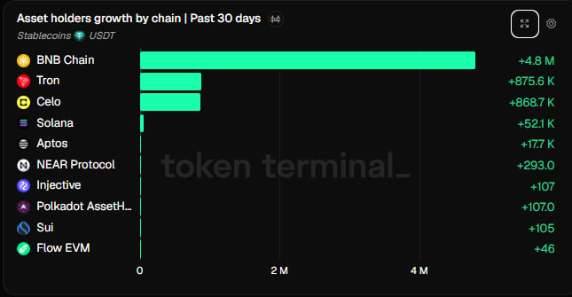 A bar chart from Token Terminal showing 'Asset holders growth by chain' in the past 30 days for Stablecoins/USDT, led by BNB Chain (+4.8M), Tron (+875.6K), and Celo (+868.7K).