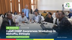 An AFP news video still showing the 'Calafi OSPF Awareness Workshop in Bishoftu, Ethiopia' with people seated around a conference table.