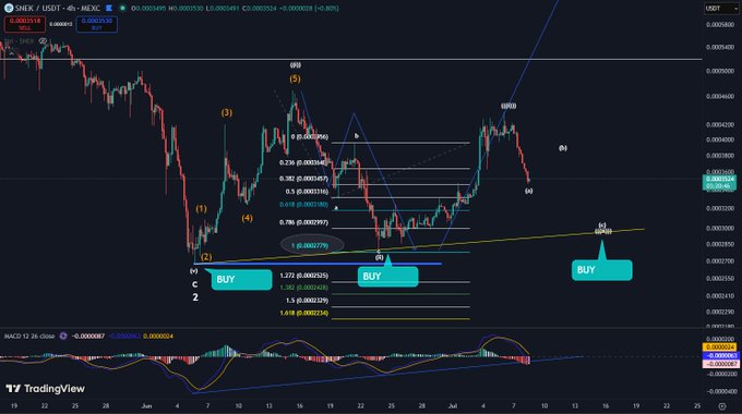 The image shows a cryptocurrency trading chart for SNEK/USDT on MEXC, featuring technical analysis with Elliott Wave patterns and Fibonacci retracements. The chart indicates potential "buy" opportunities and suggests the formation of "nesting 1s & 2s" for a generational buy.
