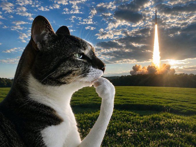 A cat in a pensive "thinking" pose looks out over a grassy field as a rocket launches in the distance, mirroring the regretful tone of selling too early before a moonshot rally.
