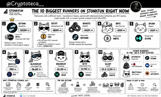 This image is an infographic titled "The 10 Biggest Runners on StonkFun Right Now," displaying the top meme coins launched on Solana with tokenized stocks (xStocks), pre-IPO names, crypto assets, SOL, or custom quotes as of a ~$3.3-3.5M cluster. The top 10 ranked runners include $STONK (StonkFun, ~$253M MC), $ZCAT (Anonymous Cat, ~$84M MC), $KNOTS (KNOTS, ~$42M MC), $BTC (Buy The Cat, ~$15M MC), $PUR (Hypurr, ~$12M MC), $RAYCAT (Raydium Cat, ~$9M MC), $LEVERCAT (Leveraged Cat, ~$6.6M MC), $NEARKAT (NearKat, ~$5.3M MC), $CTO (Vida Global CTO, ~$3.