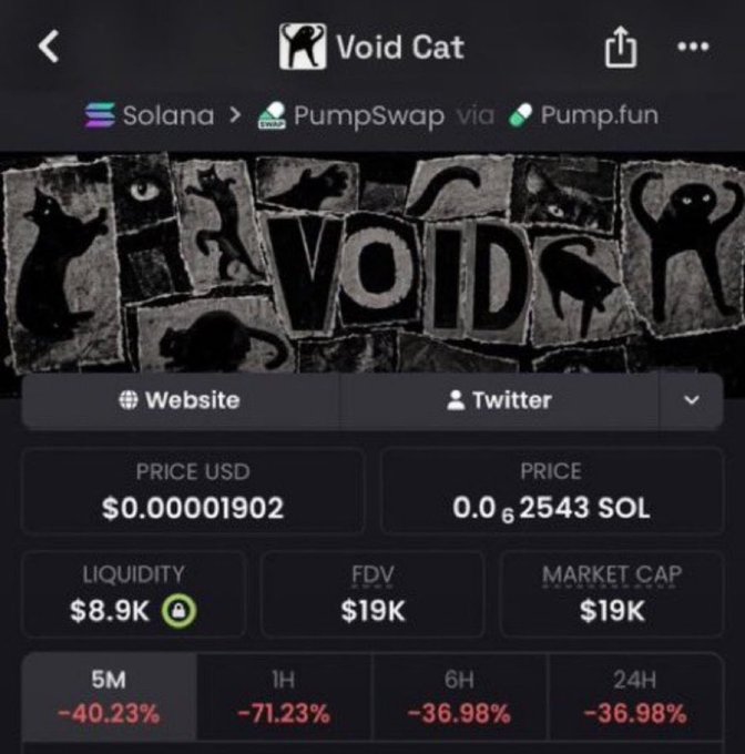 Screenshot of a cryptocurrency trading platform showing 'Void Cat' token on Solana via PumpSwap/Pump.fun, with a price of $0.00001902, liquidity of $8.9K, FDV and market cap of $19K, and significant declines of -40.23% (5M), -71.23% (1H), -36.98% (6H), and -36.98% (24H).
