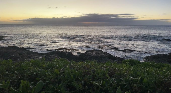 A scenic photograph of a coastal landscape at sunset or sunrise, showing dark ocean waves crashing against a rocky shore with lush green vegetation in the foreground.