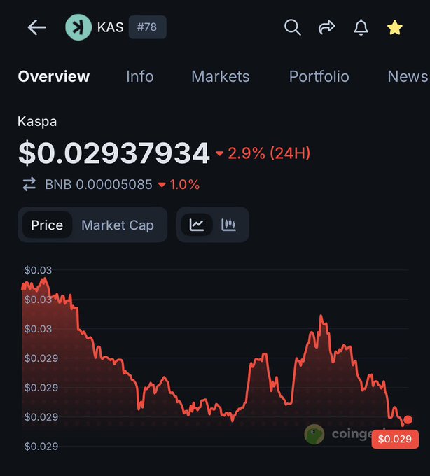 A CoinGecko price chart for Kaspa (KAS, #78) showing the token at $0.02937934, down 2.9% in 24 hours and trading at 0.00005085 BNB, with a 24-hour price graph trending downward. The image illustrates the recent bearish price movement that the post's optimistic outlook about KAS's real-world Web2 adoption would need to overcome.