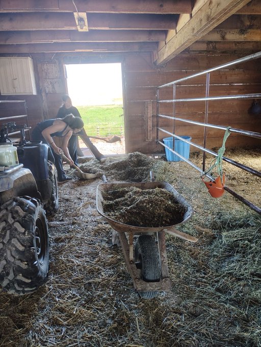 The image shows two people working inside a barn, one person standing near a wheelbarrow filled with hay while another person is sitting down next to a tractor. The barn appears to be used for farming activities or chores related to livestock management.