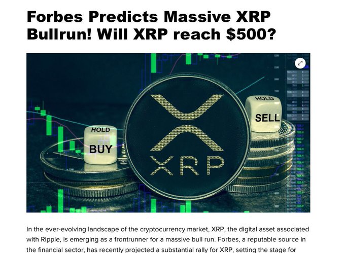 The image shows a group of coins stacked together with two XP tokens placed between them. A caption below the image explains that these coins could potentially reach $347 within the next 2 weeks, and that the XP Ledger has already released its payment rewards ecosystem for users who participate in it by making purchases on platforms like Amazon, Walmart, or others.