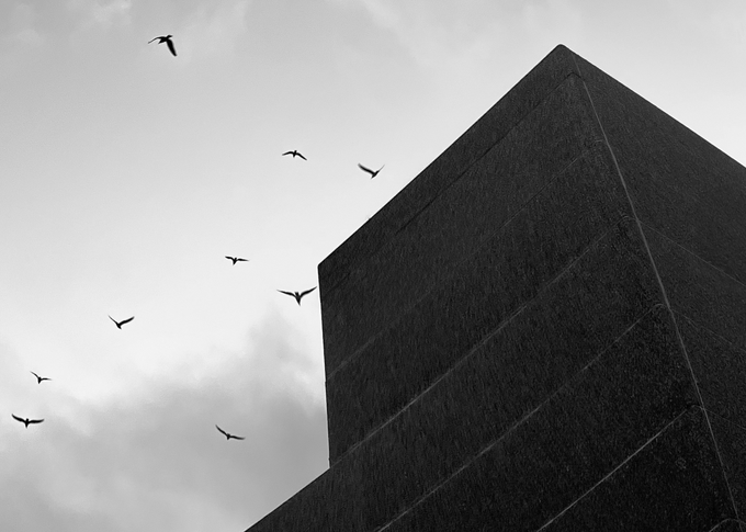A black and white photograph featuring a large, angular dark building on the right side, contrasted against a cloudy sky with several birds flying in formation.