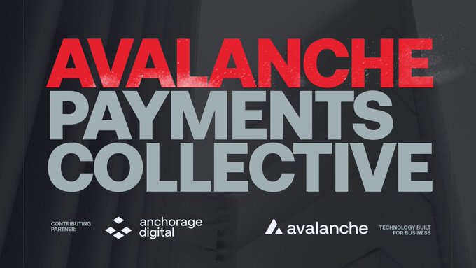 The image features a black background with red text that reads "Anchorage Payments Collective". Below this, there are two logos - one for "Anchorage Digital" and another for "AVALANCHE". The text "AVALANCHE payments collective" is written in white letters.