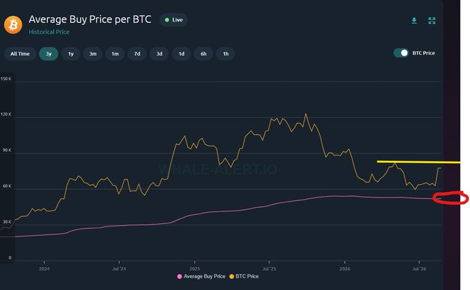 A dark-themed Whale-Alert.io chart titled "Average Buy Price per BTC" displays BTC's historical price (yellow line) peaking near $120K around early 2025 before declining, alongside the steadily rising "Average Buy Price" (pink line) now at $52,060 — highlighted by a red circle where BTC price is retesting this key support level.