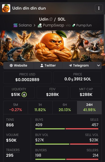 Cryptocurrency tracking page for the token 'Udin din din dun' on the Solana blockchain via PumpSwap, showing a price of $0.0002889 and a 41.98% increase over 24 hours.