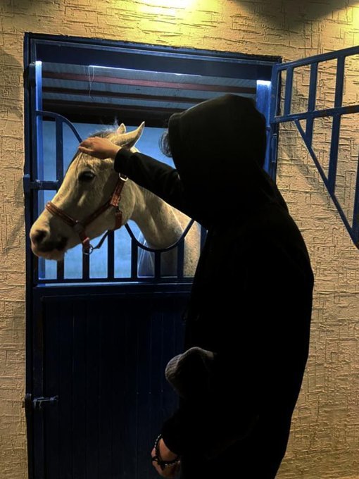 A person in a black hooded sweatshirt gently petting a white horse through the bars of its stable door.