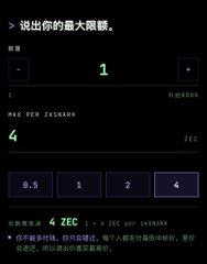 A dark-themed app interface in Chinese displaying configuration values with the number '4' set as the Max PEM ZEC amount, offering buttons for 0.5, 1, 2, and 4.