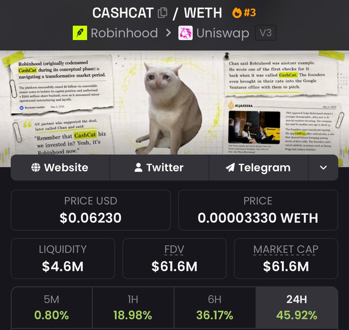A cryptocurrency token page for CASHCAT/WETH on Uniswap V3 showing a price of $0.06230, market cap of $61.6M, and 24H gain of 45.92%, featuring a white cat image.