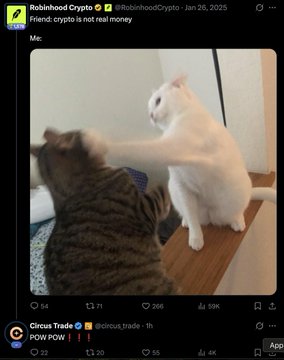 The image shows a tweet from Robinhood Crypto (@RobinhoodCrypto) dated January 26, 2025, featuring a video of two cats—one white and one tabby—playfully swatting at each other, captioned "Friend: crypto is not real money" with "Me:" above the clip. The post humorously relates to the accompanying text about being wide awake at midnight checking Twitter, drawing a parallel between the cats' playful "slap" and dismissively brushing off crypto being called "not real money."