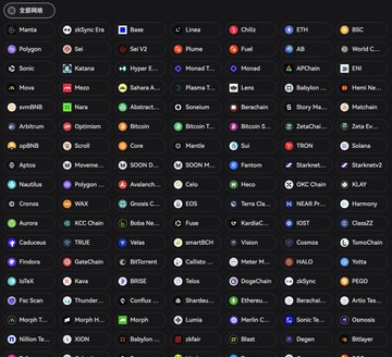 A dark-themed dashboard displaying numerous cryptocurrency and blockchain project names with logos, including Hanta, zkSync Era, Base, Linea, and Chiliz, under a '全部项目' (All Projects) tab.