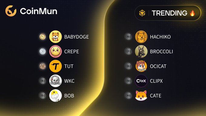 A 'CoinMun' trending list showing cryptocurrencies: 1. BABYDOGE, 2. CREPE, 3. TUT, 4. WKC, 5. BOB, 6. HACHIKO, 7. BROCCOLI, 8. OCICAT, 9. CLIPX, 10. CATE.