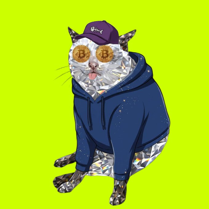 A digital illustration of a faceted, crystalline cat wearing a blue hoodie, purple cap with a fish logo, and Bitcoin-themed sunglasses against a bright green background.