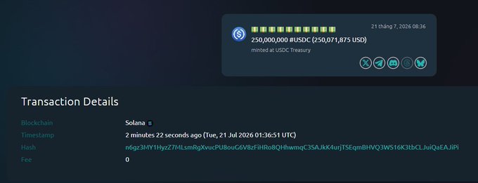 A cryptocurrency transaction screen showing 250,000,000 #USDC (250,071,875 USD) minted at USDC Treasury on the Solana blockchain, timestamped 21 tháng 7, 2026 08:36.