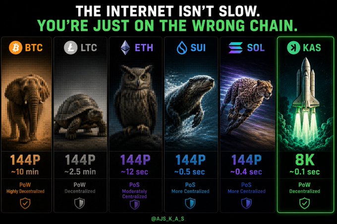 The image shows a series of six different images, each depicting an animal or object related to Bitcoin transactions. The first image features an elephant, followed by an owl, a turtle, a rocket ship, a space shuttle, and a rocket. Each subsequent image showcases a different aspect of Bitcoin transactions, such as the value of Bitcoins, the process of mining, or the history of Bitcoin exchanges. The post encourages people to consider how much they rely on instant communication in their daily lives and how it has changed over time due to the rise of digital currency like Bitcoin.