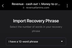 The image shows a website from "revenuetamms.com" displaying a "Recovery Phrase" import page with a dropdown menu reading "I have a 12-word phrase." This screenshot relates to the post's theme of crypto scams, specifically illustrating a "seed phrase recovery" phishing scheme designed to steal users' wallet credentials by tricking them into entering their crypto recovery phrases.