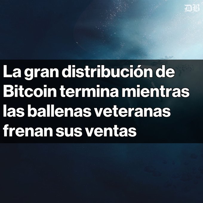 Dark graphic with Spanish text reading 'La gran distribución de Bitcoin termina mientras las ballenas veteranas frenan sus ventas' (The great Bitcoin distribution ends as veteran whales curb their sales), with a 'DB' logo.