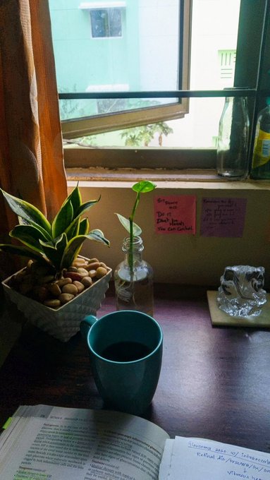 The image shows a desk with an open book, a blue mug of coffee, and a plant sitting on top of it. The scene also includes a window that allows natural light into the room. A note attached to the window reads "Good morning Launching an L1 chain is always a tough decision: spend months building security, or give up sovereignty by relying on another chain". This message seems to be related to the Canopy network and their approach to securing networks. The image captures a moment of daily life with a focus on the importance of making informed decisions in matters of security and trust.