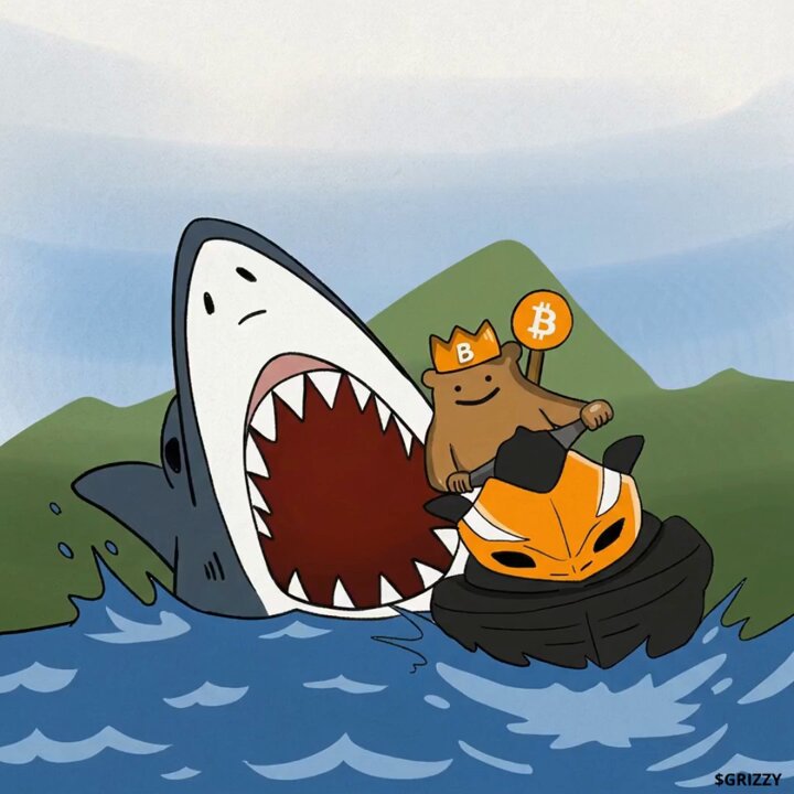 The image features a cartoon shark with its mouth open, holding a Bitcoin symbol above its head. The shark is surrounded by water, giving the impression that it's swimming through the ocean. In the background, there are mountains visible behind the shark, adding depth to the scene. The caption of the post reads "Stay #Bitcoin. Stay #Ordinals. Stay #Runes. Stay $GRIZZY." This message emphasizes the importance and relevance of Bitcoin in today's world.