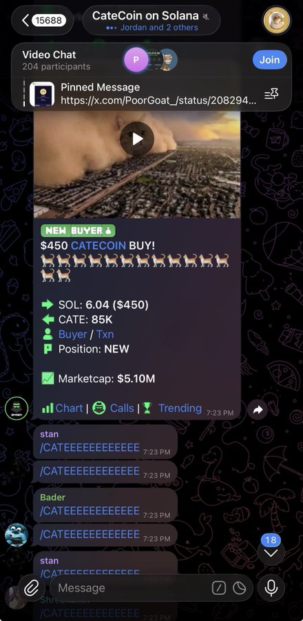 A screenshot of a Telegram video chat for 'CateCoin on Solana' with 204 participants, showing a pinned message about a $450 CATECOIN buy, marketcap of $5.10M, and chat messages filled with '/CATEEEEEEEEEEEE'.