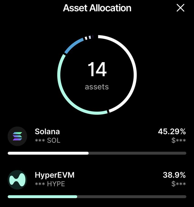 An 'Asset Allocation' screen showing a portfolio of 14 assets, with Solana at 45.29% and HyperEVM at 38.9% as the top holdings.