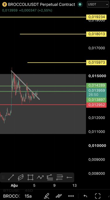 A candlestick chart of the BROCCOLIUSDT Perpetual Contract shows price trading around 0.013959 (+2.55%), with several horizontal levels marked for watching, including resistance zones at 0.019234, 0.018013, 0.015973, and support levels near 0.013897, 0.012952, and 0.011000, illustrating the key trading ranges the author is monitoring for $BROCCOLI.