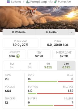 A cryptocurrency dashboard for 'PumpSwap' shows a price of $0.0₄2271 USD and 0.0₃3049 SOL, with market cap of $2.2K and trading statistics including buyers and sellers.