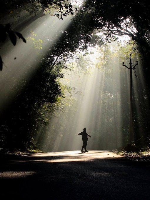 A lone figure stands with arms outstretched on a forest path, bathed in dramatic rays of sunlight streaming through the dense canopy, embodying the spirit of exploration highlighted in the accompanying post about continuing the journey with @quipnetwork.
