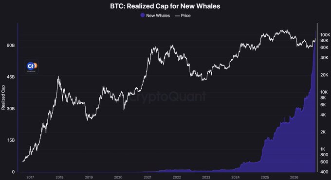 The image is a CryptoQuant chart titled "BTC: Realized Cap for New Whales," showing a sharp vertical spike in blue whale accumulation bars on the right side reaching over 15B, against a backdrop of BTC price trending toward 100K—visually supporting the claim that whales are aggressively buying Bitcoin in late 2026.