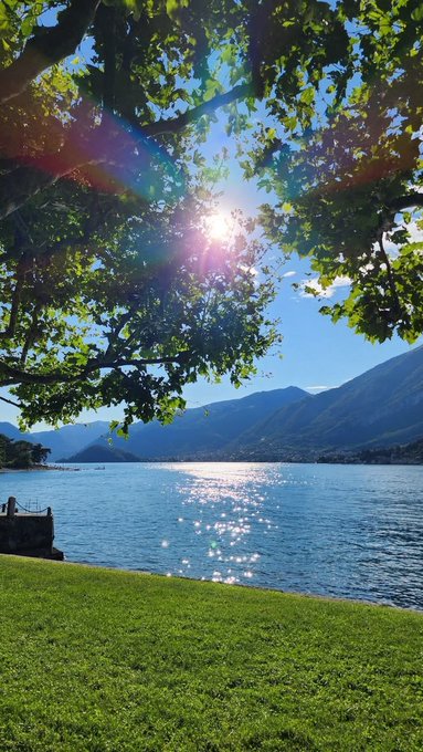 Scenic photograph of sunlight filtering through green tree leaves over a calm lake with mountains in the background and a grassy foreground.
