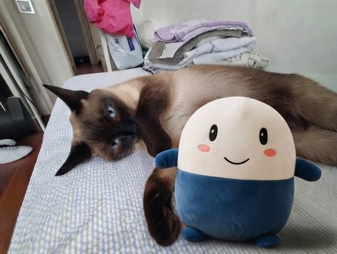 A Siamese cat with bright blue eyes lies on a bed next to a round, smiling plush toy wearing a blue outfit.