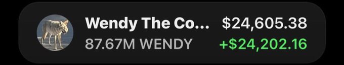 The image displays a trading portfolio entry for "Wendy The Co..." showing holdings of 87.67M WENDY valued at $24,605.38 with a gain of +$24,202.16 in green, reflecting the substantial profits mentioned in the accompanying post about the $Wendy token's performance.