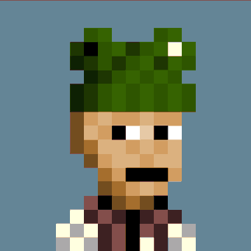 A pixel art Minecraft-style character portrait of a person with brown hair, a beard, wearing a green frog hat and a white coat.