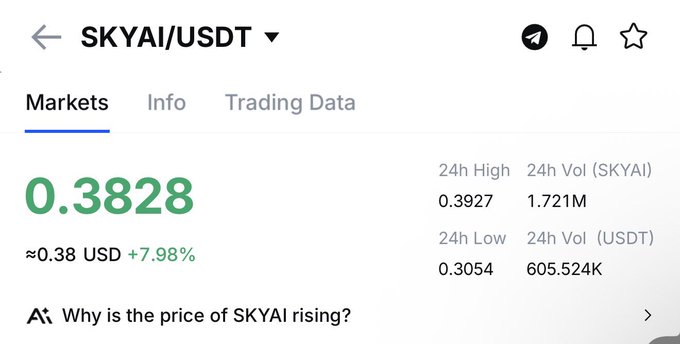 The image shows a screenshot of a trading app's screen displaying information about Skyai/USDT. The app provides details such as the current price of Skyai/USDT, the highest and lowest prices for the currency over the past 24 hours, and the volume of transactions in US dollars. The post suggests that there is a high possibility that Skyai/USDT could reach $0.49 within the next few days.