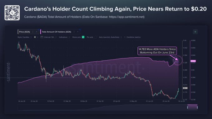 The image is a Santiment chart showing Cardano's (ADA) price and total holder count, highlighting that 4,783 more ADA holders have accumulated since the June 23rd bottom, with the price approaching $0.20. This supports the post's long-term bullish thesis on Cardano by visually demonstrating growing holder accumulation during a price recovery, reinforcing confidence in its decentralized UTXO-based network.