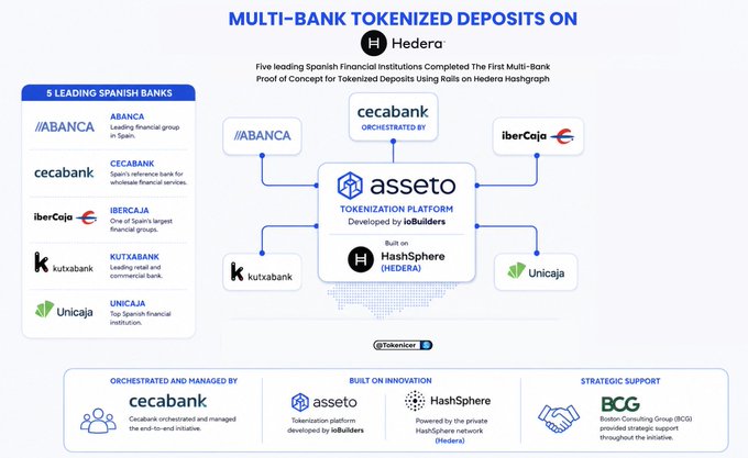 The image is an infographic titled "Multi-Bank Tokenized Deposits on Hedera," highlighting a proof of concept involving five major Spanish banks (ABANCA, Cecabank, Ibercaja, Kutxabank, Unicaja) using the asseto tokenization platform built on Hedera's Hashgraph, with Cecabank orchestrating the initiative and Boston Consulting Group providing strategic support. It reinforces the post's bullish $HBAR sentiment by showcasing a real-world enterprise adoption case, serving as evidence that institutional and banking interest in Hedera remains strong despite short-term price fear.