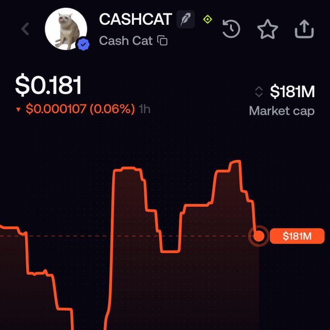 A cryptocurrency chart for 'CASHCAT' (Cash Cat) showing a price of $0.181 with a market cap of $181M and a recent price decline.