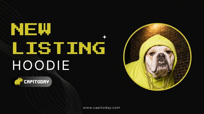 A promotional banner with pixelated text reading 'NEW LISTING HOODIE' and the 'CAPITODAY' logo, featuring a circular inset image of a bulldog wearing a bright yellow-green hoodie and gold chains.