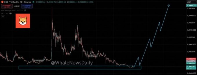A cryptocurrency price chart for SHIB/USDT on Binance, showing a long flat period followed by a sharp upward spike, with the Shiba Inu logo and a watermark '@WhaleNewsDaily'.