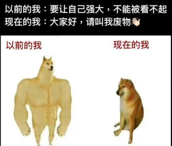 The image shows a humorous "Before vs. Now" comparison meme featuring the Buff Doge (muscular Shiba Inu) labeled "以前的我" (the past me) standing confidently beside a small, defeated-looking Shiba Inu labeled "现在的我" (the present me), with Chinese text stating how the past self wanted to be strong and not looked down upon, while now introducing themselves as "废唔唔" (trash/loser)—capturing the humorous self-deprecating irony of someone in crypto who claims to have conviction but crumbles under FUD and peer pressure rather than executing with discipline.