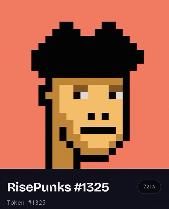 A pixel art portrait of a character with dark afro hair labeled 'RisePunks #1325', with token information showing '#1325' and a rarity attribute of '721A' on a peach background.
