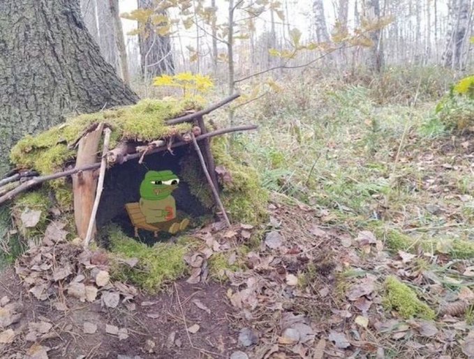 A small Pepe the Frog figure sitting on a tiny bench inside a miniature shelter built against a tree in a forest.